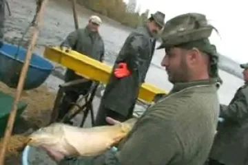 14. výlov ryb v Blatničce