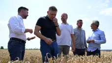Slovenský premiér Robert Fico (druhý zleva), doprovázený ministrem zemědělství Richardem Takáčem (zcela vlevo), na Dni sklizně úrody 2024