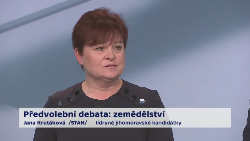 Krutáková o privatizaci Budvaru