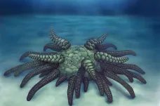 Tohle je Cthulhu. Vědci rekonstruovali podobu tvora, který žil v oceánu před 430 miliony let