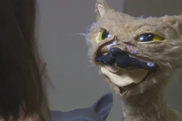 Český animovaný film má potenciál, ale zatím je popelkou s kdysi dobrou značkou