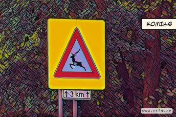 Ke srážkám aut se zvěří nejčastěji dochází v příhraničí