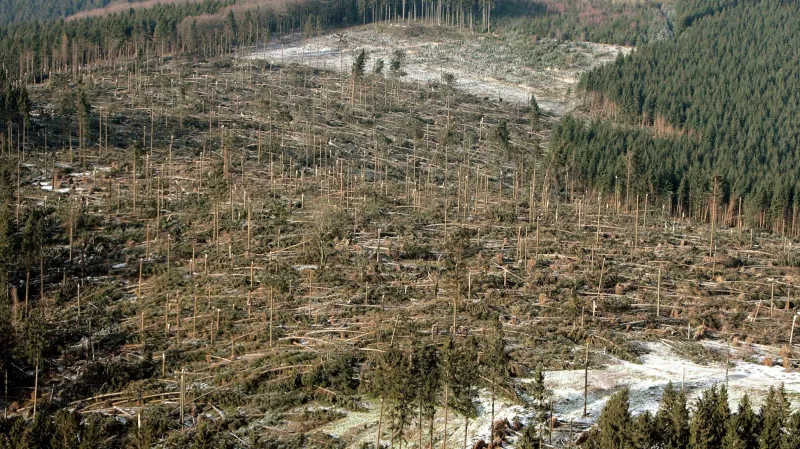 Následky orkánu Kyrill v Severním Porýní-Vestfálsku (leden 2007)