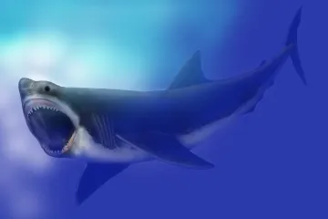Novorození megalodoni byli větší než dospělý muž. Živili se svými sourozenci, odhalila studie