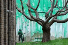 Graffiti od Banksyho znamenají i starosti. Majitele stresují a zloději je kradou