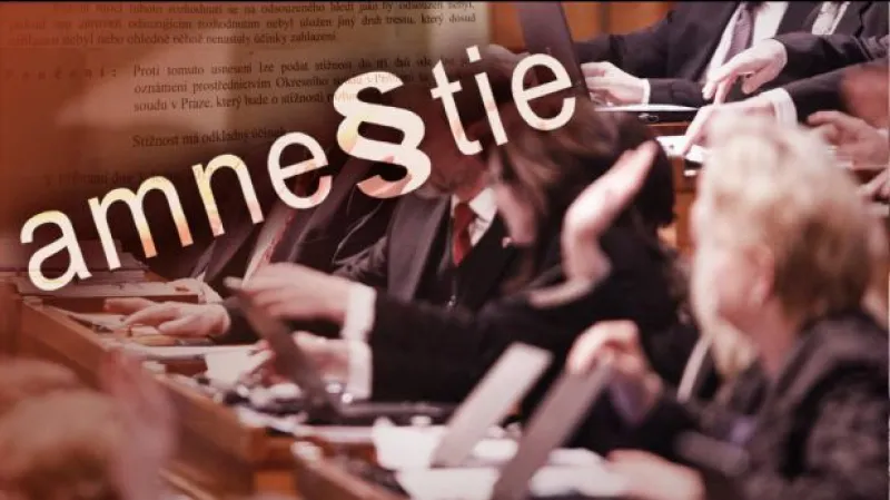 Senát rozhoduje o ústavní žalobě