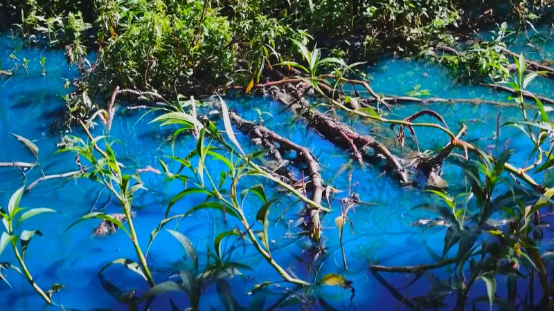 Modrá barva obarvila potok v brazilské Jundiaie