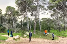 Masarykův les v Izraeli chřadne. Tisíce borovic zachraňují arboristé z Brna