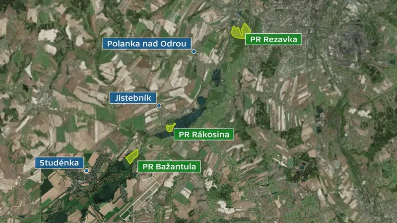 Plánovaná obnova rákosišť v CHKO Poodří