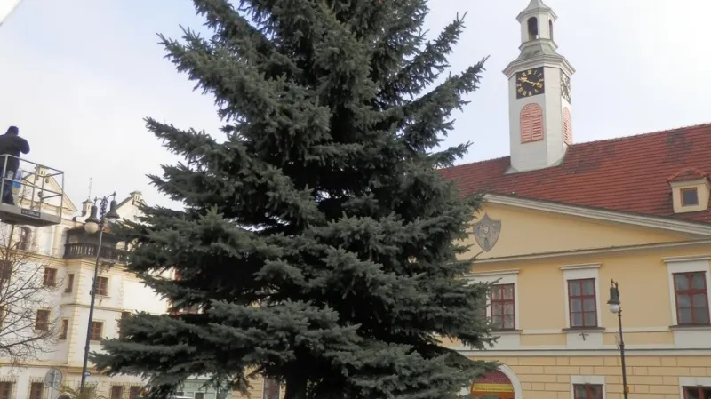 Vánoční strom v Lounech