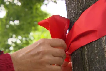 Domácí péče o pacienty je podhodnocená, stěžují si sestry. Upozornit na to mají červené mašle