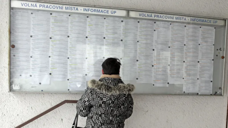 Bostl: Zájem je o profese, kde je vyžadována určitá kvalifikace