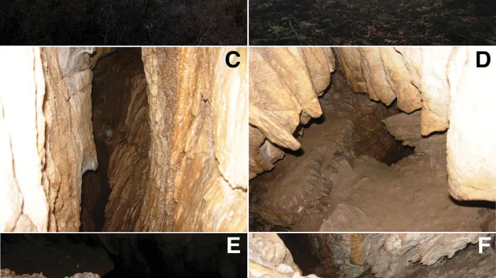 Jeskyně, kde byl nalezen nový druh mnohonožky