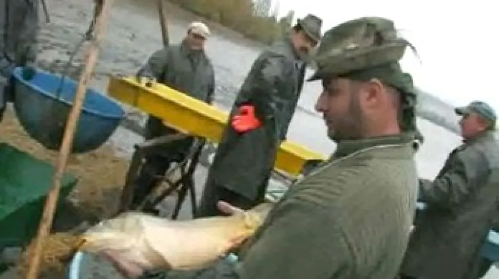 14. výlov ryb v Blatničce