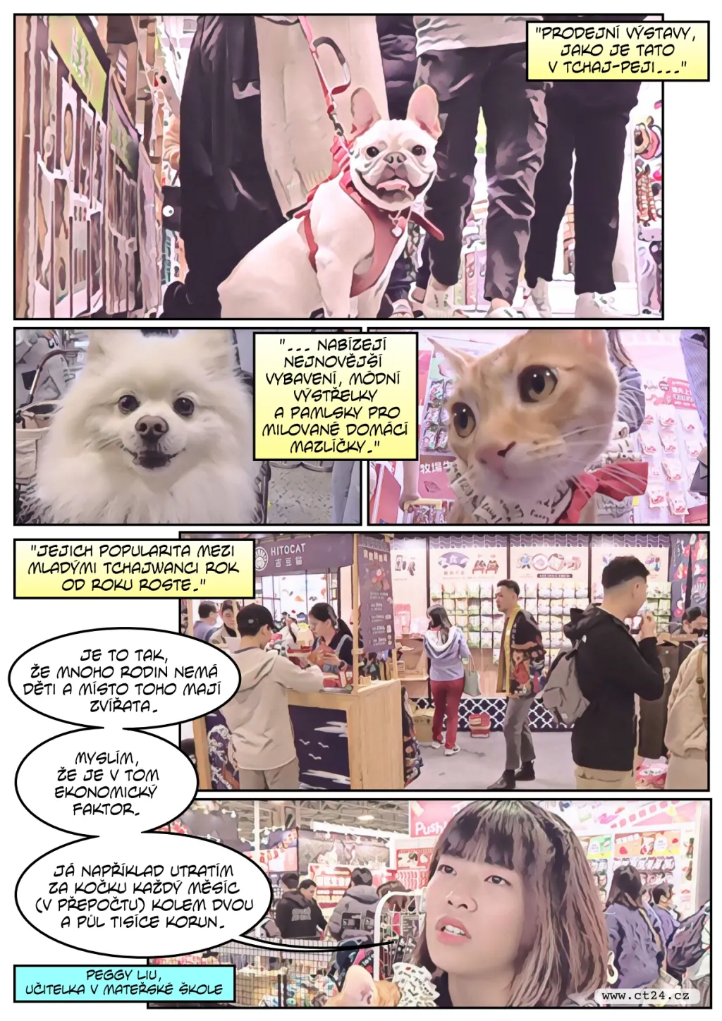 Tchajwanci dávají přednost zvířatům před dětmi