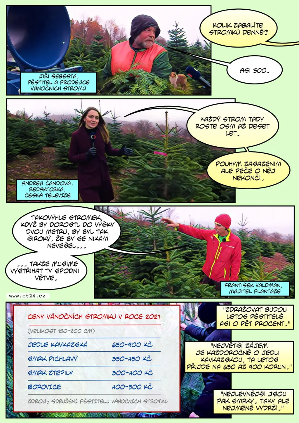 Prodej vánočních stromků