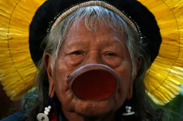 Týden obrazem: Když je pásovec v nesnázích, jak vypadá zlatá ruka a kde jsou kola větší než lidi