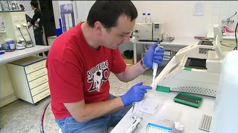 Reportáž Martina Ruska