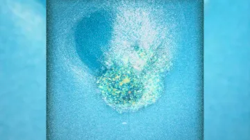 První nafilmované zahnízdění lidského embrya