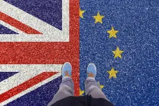 Britská věda míří po brexitu zpět do náruče Evropské unie