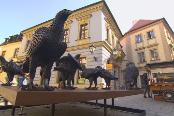 Ulice, byt nebo výloha obchodu. V Brně vznikají galerie na neobvyklých místech