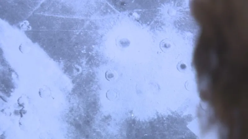 Studium starých leteckých snímků je základem pro dohledávání nevybuchlých pum