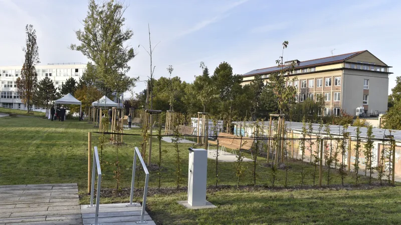 Park je osázený desítkami stromů a keřů