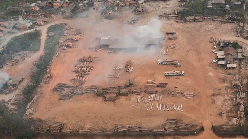 Odlesňování amazonského pralesa