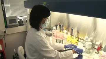 Laboratoř, v níž probíhá výzkum kmenových buněk