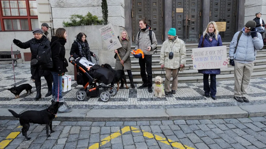 Psí demonstrace proti solení chodníků