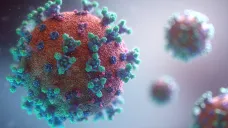 Vizualizace viru SARS-CoV-2