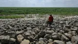 Místa, kde byla před rokem voda Kachovské přehrady, zarůstá zeleň
