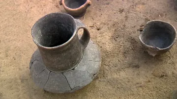 Nádoba kultury se šňůrovou keramikou