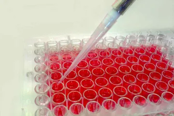 Brněnští vědci popsali funkci bílkoviny, která hraje roli v přepisu genetické informace. Může to pomoci při léčbě rakoviny