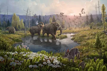 Vědci našli v Grónsku nejstarší DNA. Ukázala proměny ostrova vlivem klimatu