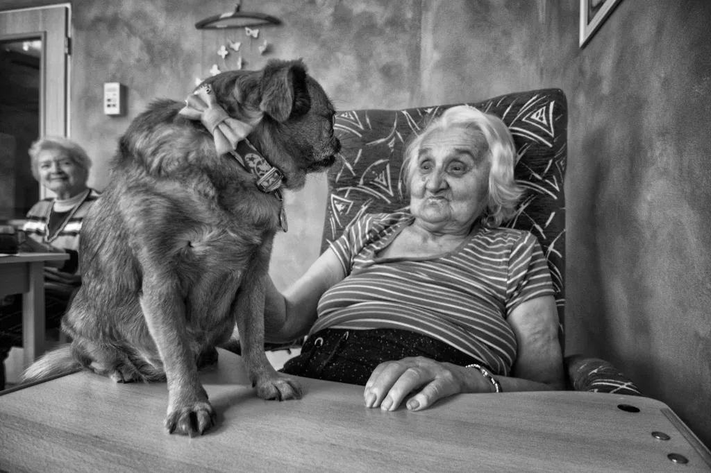 3. místo Czech Press Photo 2019 v kategorii „Každodenní život“. Jan Jirkovský za fotografii   „Canisterapie v Domově Kněžny Emmy“