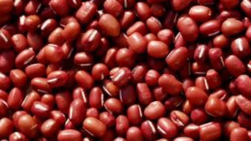 Fazole