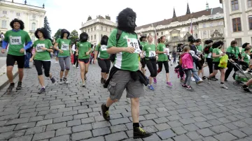 Běh pro gorily