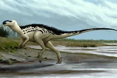 Česká republika má svého prvního dinosaura. Dostal jméno Burianosaurus