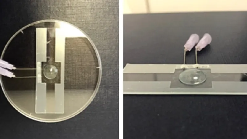 Letošní první prototypy organických čipů z pražských laboratoří