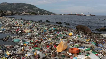 Znečištění oceánů