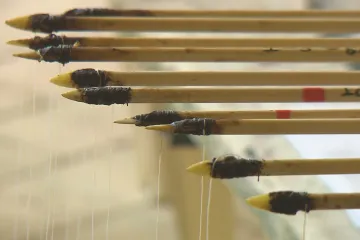 Sloužily šípy původně k lovu, nebo k boji? Brněnští vědci se rozhodli pro neobvyklý experiment