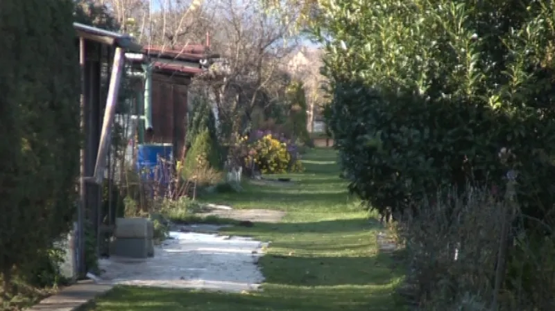 V této zahrádkářské kolonii majitelka psa uvázala