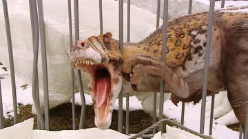 Dinosaurus z Plzně
