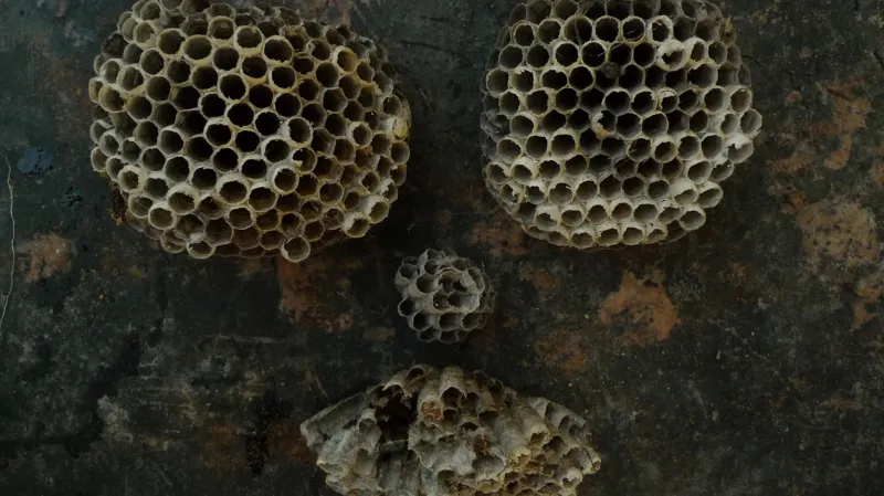 Veronika Bromová / z výstavy Příběh chaosu