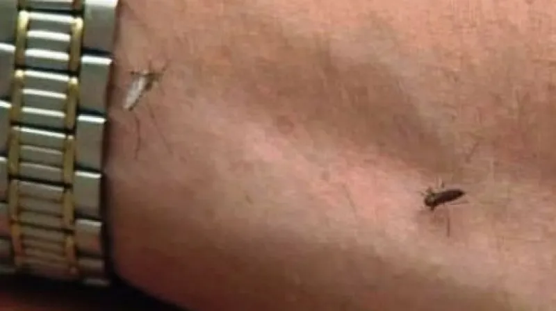 Reportáž Petra Šuleře