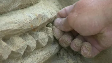 Výstava pískových soch v Lednici