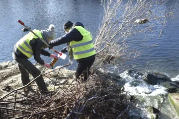 Rozbor vody z Bečvy prokázal podle vodoprávního úřadu zvýšený fosfor. Podle inspekce vzorky splňovaly limity