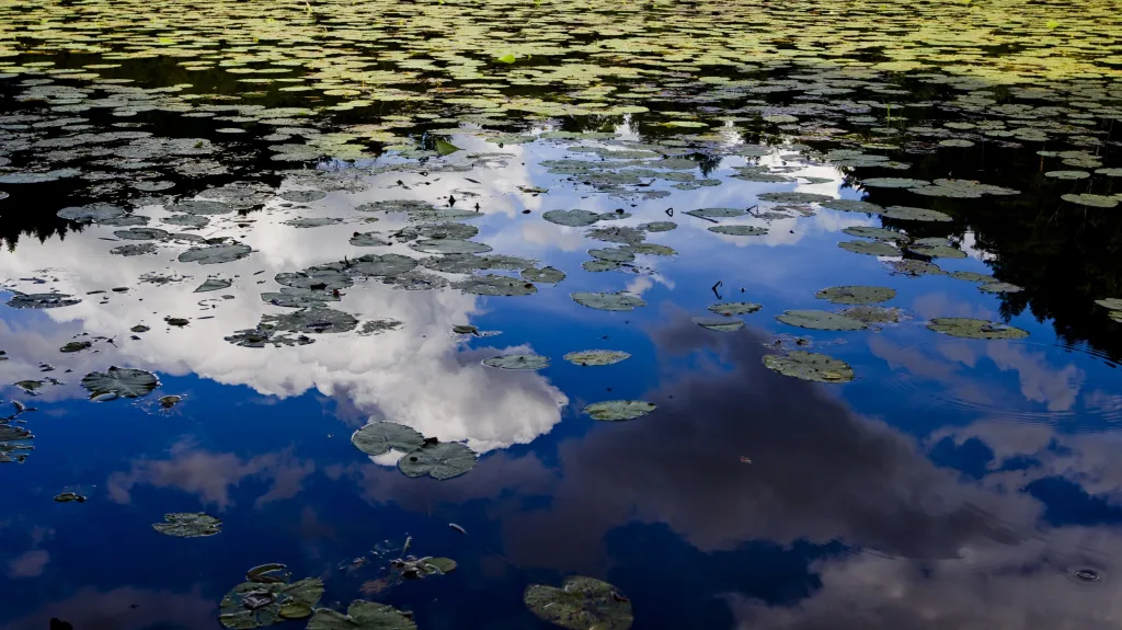 Rybník Stříbrník na Kokořínsku