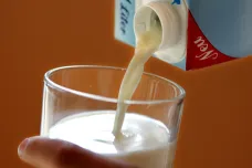 Evropan se poprvé napil mléka před 7400 lety. A bylo mu z něj špatně
